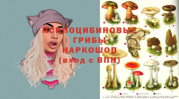 мдпв Абдулино