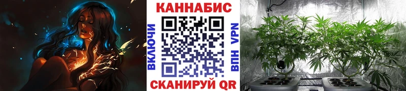 Конопля семена  купить  цена  Северодвинск 